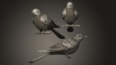 3D model Cuckoo (STL)